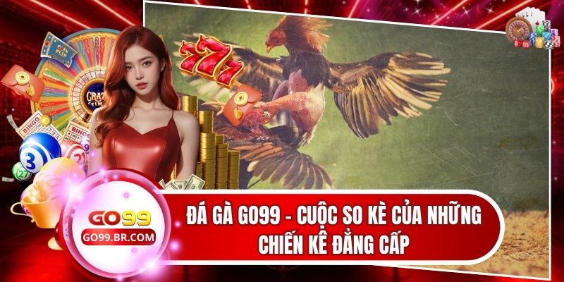 Đá Gà Go99 - Cuộc So Kè Của Những Chiến Kê Đẳng Cấp